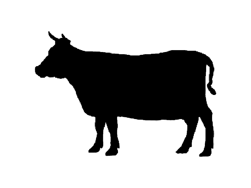 ARREDAMENTO NEGOZI SALUMERIA e MACELLERIA